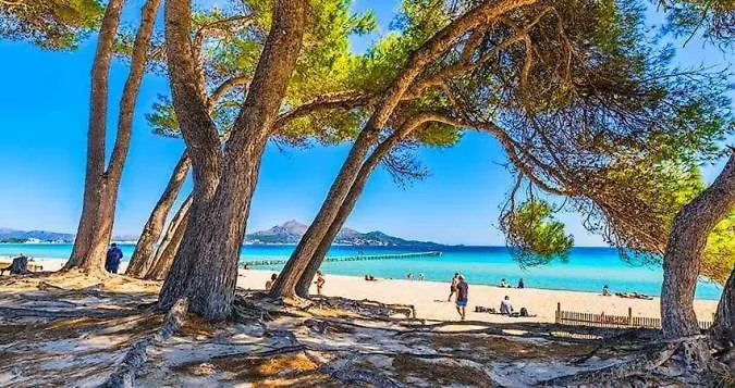 Apartment Canopus Paradise Alcudia  Spain