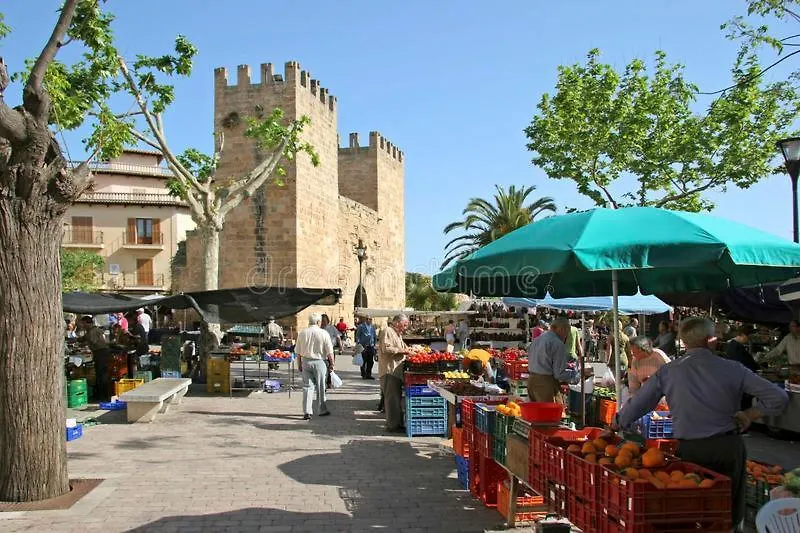 Canopus Paradise Alcudia  Spain