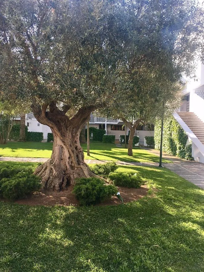 Apartment Canopus Paradise Alcudia